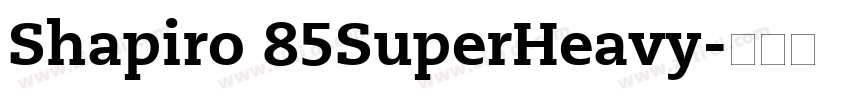 Shapiro 85SuperHeavy字体转换